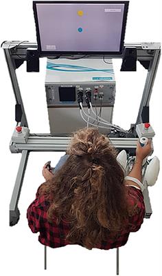 Wrist Position Sense in Two Dimensions: Between-Hand Symmetry and Anisotropic Accuracy Across the Space